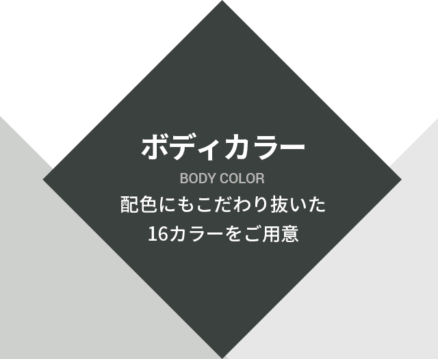 ボディカラー